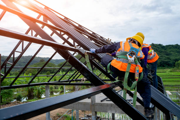 Best Roof Gutter Cleaning  in New Brockton, AL